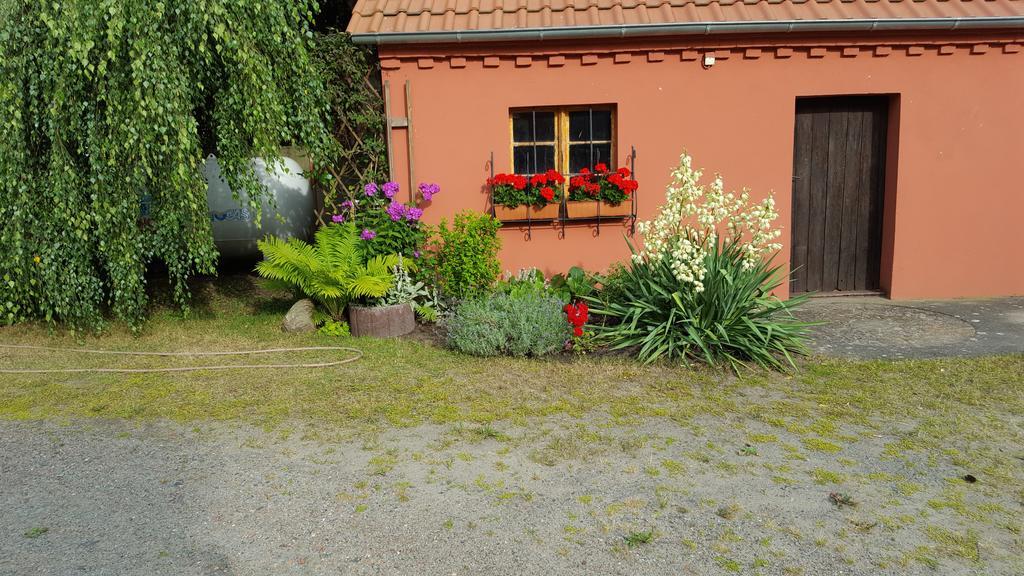 Apartmán Storchennest Grosswudicke Exteriér fotografie